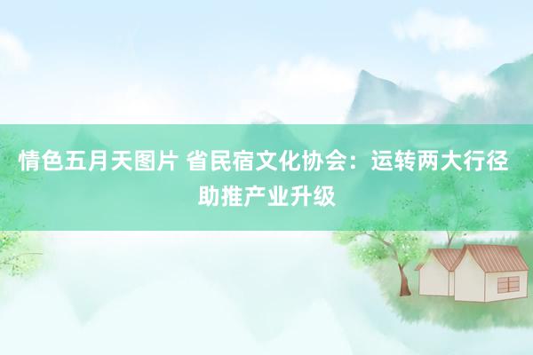情色五月天图片 省民宿文化协会：运转两大行径 助推产业升级