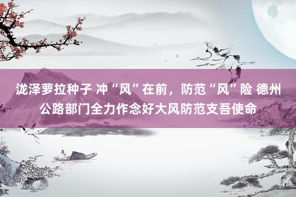泷泽萝拉种子 冲“风”在前，防范“风”险 德州公路部门全力作念好大风防范支吾使命