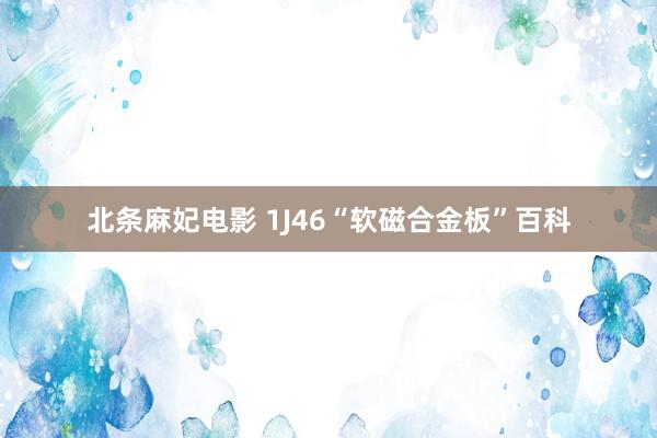 北条麻妃电影 1J46“软磁合金板”百科