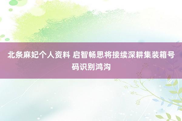 北条麻妃个人资料 启智畅思将接续深耕集装箱号码识别鸿沟