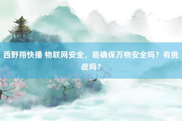 西野翔快播 物联网安全，能确保万物安全吗？有挑战吗？