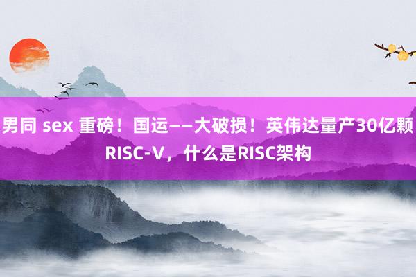 男同 sex 重磅！国运——大破损！英伟达量产30亿颗RISC-V，什么是RISC架构