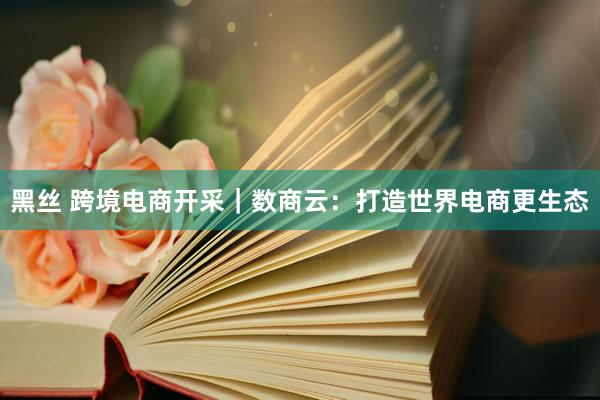 黑丝 跨境电商开采｜数商云：打造世界电商更生态