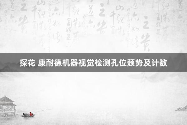 探花 康耐德机器视觉检测孔位颓势及计数