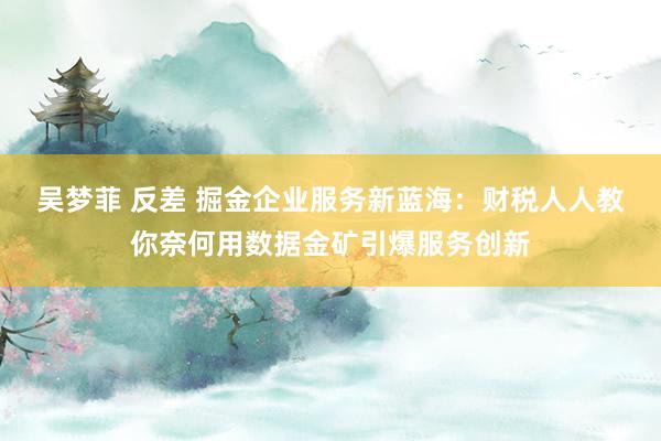 吴梦菲 反差 掘金企业服务新蓝海：财税人人教你奈何用数据金矿引爆服务创新