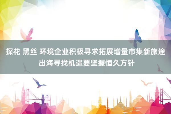 探花 黑丝 环境企业积极寻求拓展增量市集新旅途 出海寻找机遇要坚握恒久方针