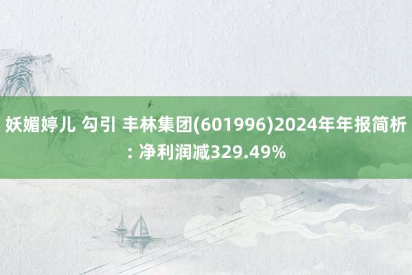 妖媚婷儿 勾引 丰林集团(601996)2024年年报简析: 净利润减329.49%
