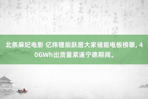北条麻妃电影 亿纬锂能跃居大家储能电板榜眼, 40GWh出货量紧逼宁德期间。