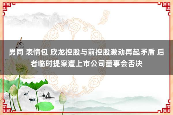 男同 表情包 欣龙控股与前控股激动再起矛盾 后者临时提案遭上市公司董事会否决