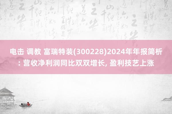 电击 调教 富瑞特装(300228)2024年年报简析: 营收净利润同比双双增长, 盈利技艺上涨