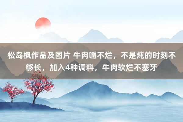 松岛枫作品及图片 牛肉嚼不烂，不是炖的时刻不够长，加入4种调料，牛肉软烂不塞牙