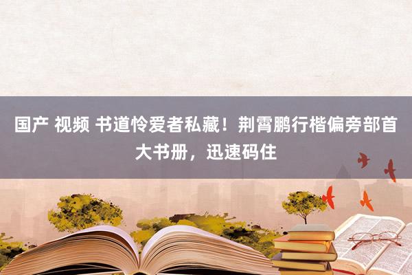 国产 视频 书道怜爱者私藏！荆霄鹏行楷偏旁部首大书册，迅速码住