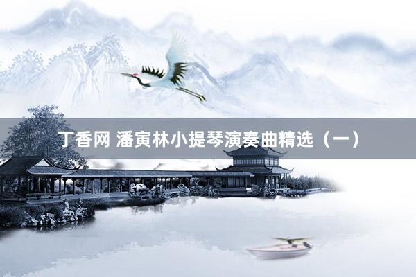丁香网 潘寅林小提琴演奏曲精选（一）