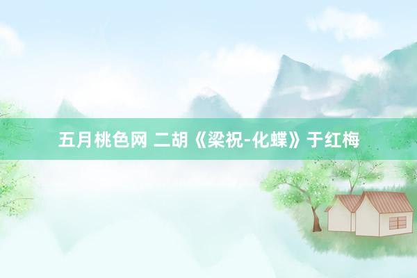 五月桃色网 二胡《梁祝-化蝶》于红梅